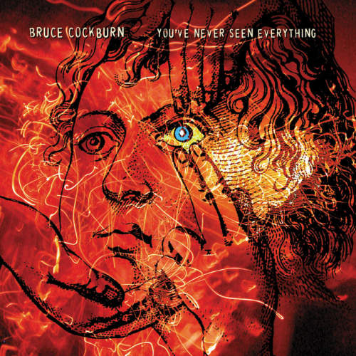 Bruce Cockburn - You've never seen everything (CD) - Discords.nl