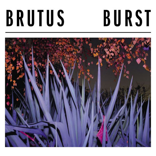 Brutus - Burst (CD) - Discords.nl