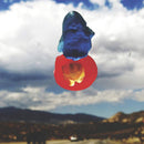 Bully - Feels like (CD) - Discords.nl