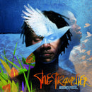 Baaba Maal - The traveller (CD) - Discords.nl