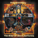 Badly Drawn Boy - The hour of bewilderbeast (LP) - Discords.nl