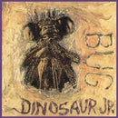 Dinosaur Jr. - Bug (CD) - Discords.nl