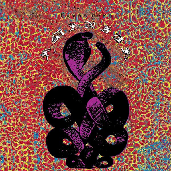 Bardo Pond - Amanita (25th anniversary edition) (LP) - Discords.nl