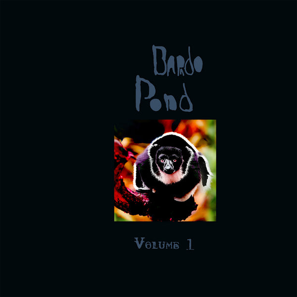 Bardo Pond - Volume 1 (LP) - Discords.nl