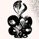 Bardo Pond - Volume 4 & 5 (LP)