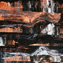 Barrens - Corpse lights (LP) - Discords.nl