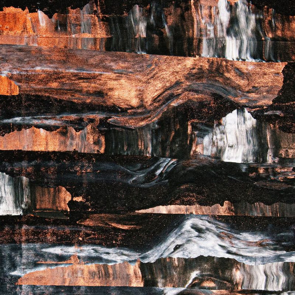 Barrens - Corpse lights (LP) - Discords.nl