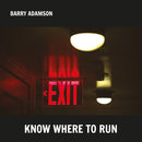 Barry Adamson - Know where to run (LP)