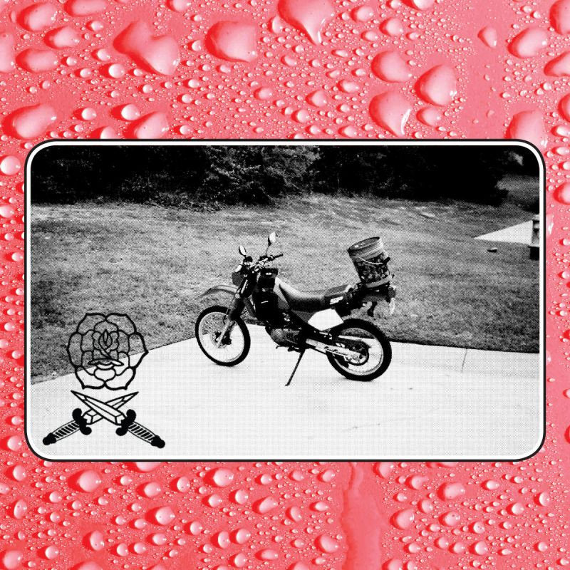 Bass Drum Of Death - Say i won't (CD) - Discords.nl