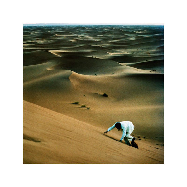Baxter Dury - Prince of tears (LP) - Discords.nl