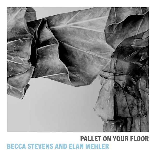 Becca Stevens and Elan Mehler - Pallet on our floor (CD) - Discords.nl