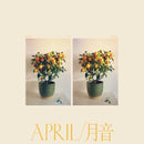 Emmy The Great - April (LP) - Discords.nl