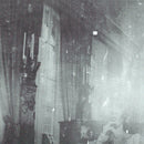 Belong - Common era (LP) - Discords.nl