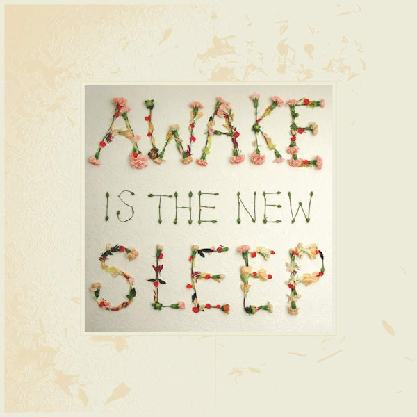 Ben Lee - Awake is the new sleep (LP) - Discords.nl