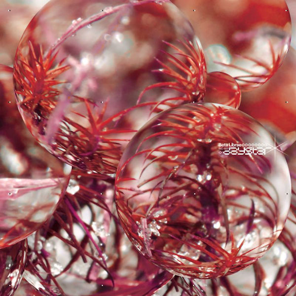 Beta Librae - Daystar (LP) - Discords.nl