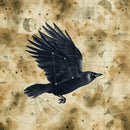 Big Big Train - Grimspound (CD) - Discords.nl