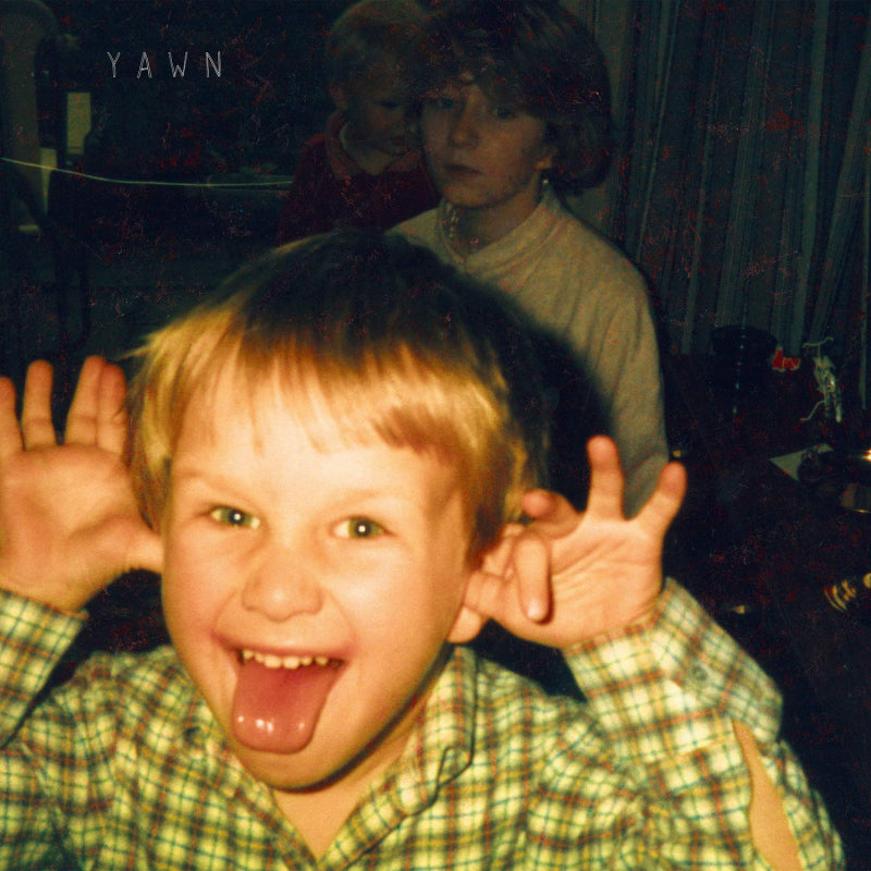 Bill Ryder-Jones - Yawn (LP) - Discords.nl