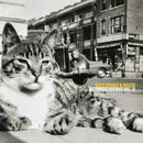 Wilco Billy Bragg - Mermaid avenue vol. ii (LP)