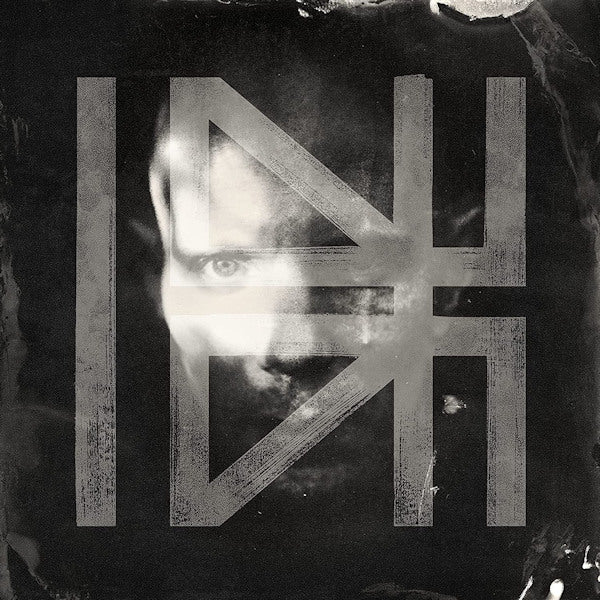 Billy Howerdel - What normal was (LP) - Discords.nl