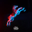 Billy Nomates - Metal Horse (LP) - Discords.nl