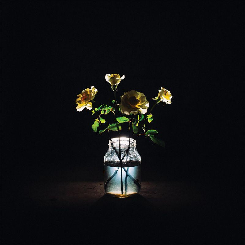 Billy Strings - Renewal (CD) - Discords.nl