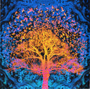 Jon Anderson / Rick Wakeman - The Living Tree (CD) - Discords.nl