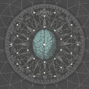 Bipolar Architecture - Metaphysicize (LP) - Discords.nl