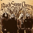 Black Stone Cherry - Black stone cherry (LP)