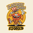 Blackberry Smoke - Stoned (LP) - Discords.nl