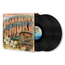 Blackberry Smoke - You hear georgia (LP) - Discords.nl