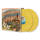 Blackberry Smoke - You hear georgia (LP)