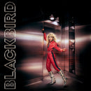 Blackbird - Do you read me!? (LP)