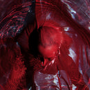 Blackwater Holylight - Not here not gone (CD) - Discords.nl