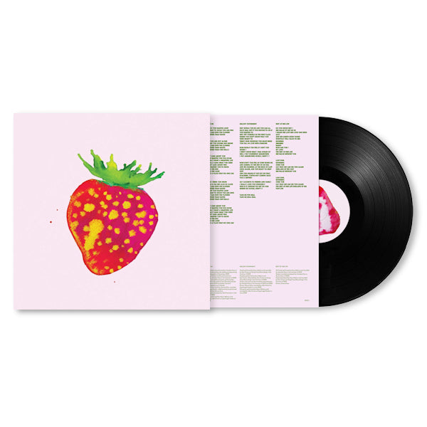 Blonde Redhead - Sit down for dinner (LP) - Discords.nl