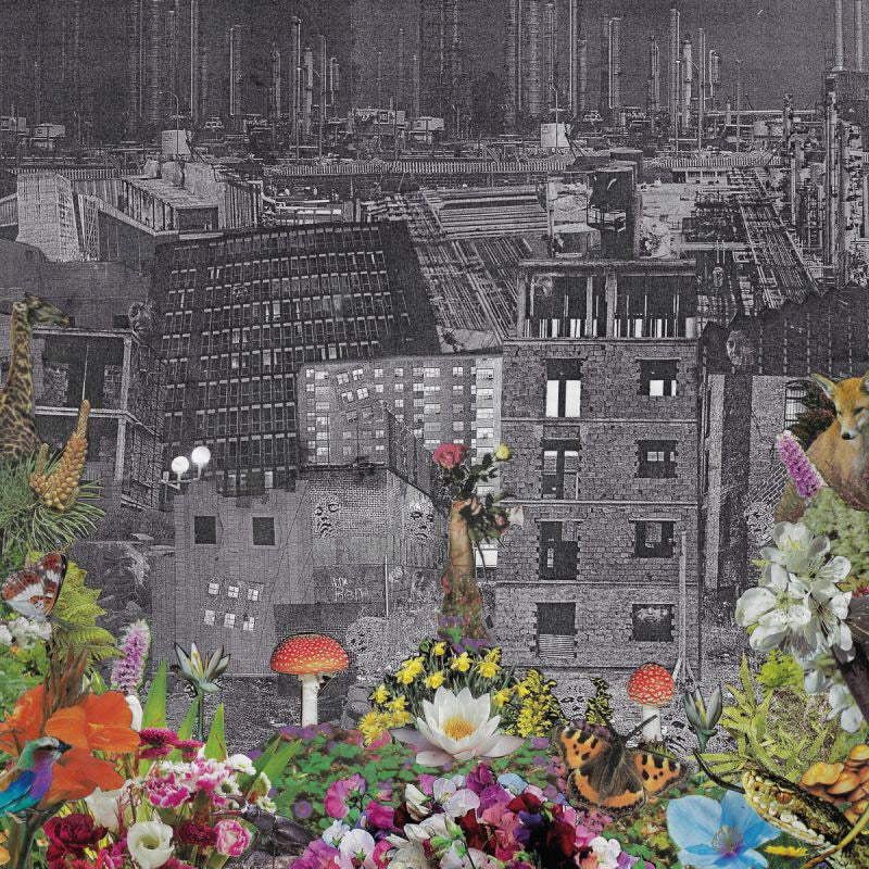 Bloody Head - Perpetual eden (LP) - Discords.nl