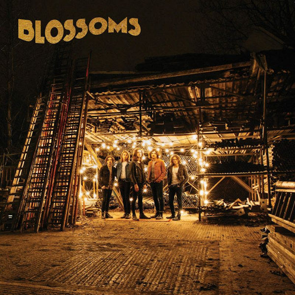 Blossoms - Blossoms (LP) - Discords.nl