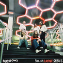 Blossoms - Foolish loving spaces (LP) - Discords.nl
