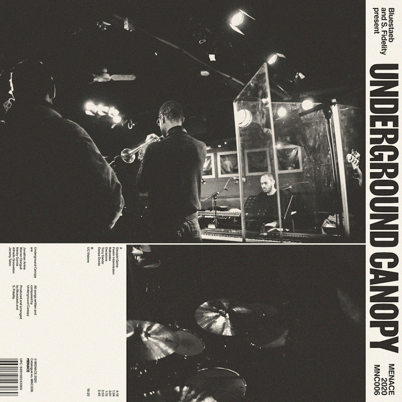 Bluestaeb & S. Fidelity - Bluestaeb & S. Fidelity Present Underground Canopy (CD) - Discords.nl