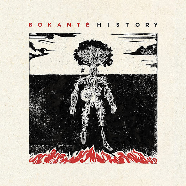 Bokante - History (CD) - Discords.nl