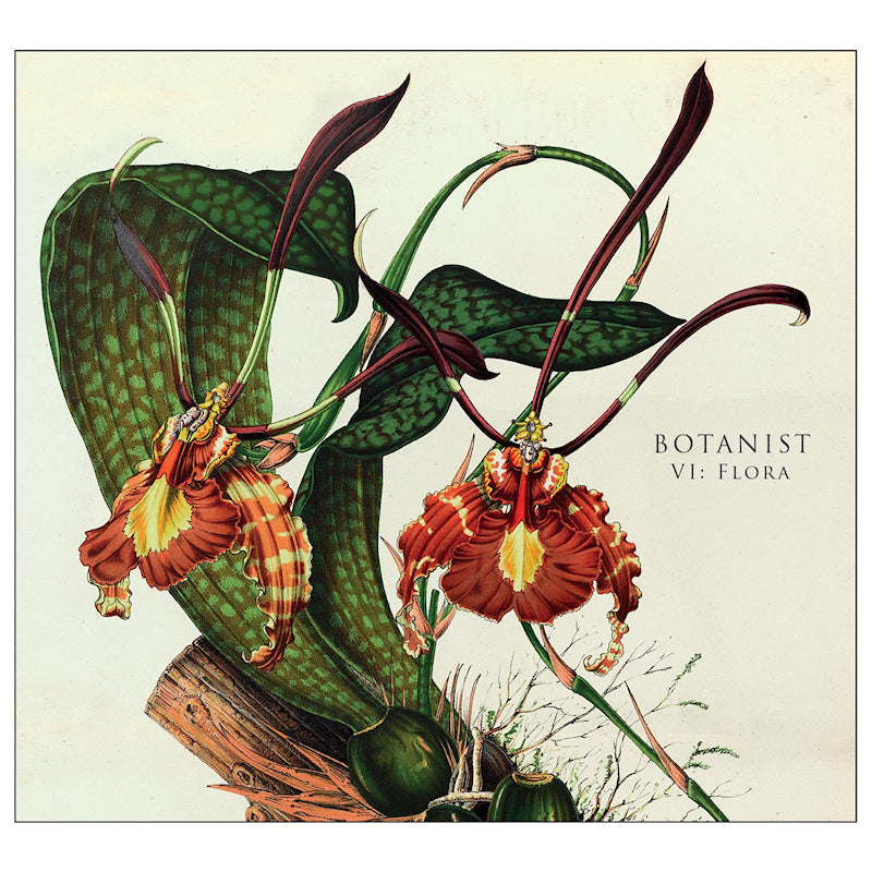 Botanist - Vi: flora (LP)