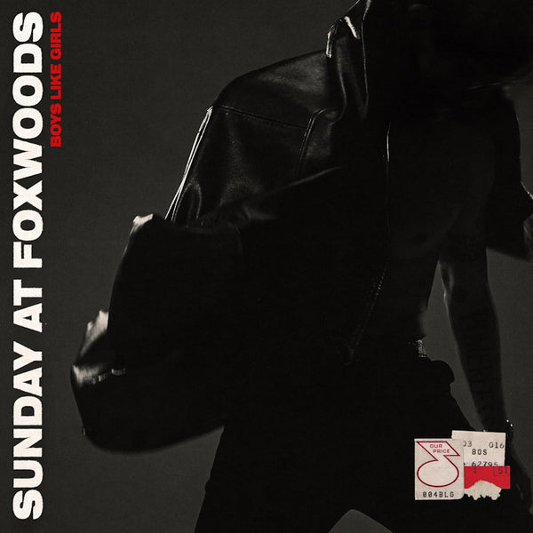 Boys Like Girls - Sunday at foxwoods (CD) - Discords.nl