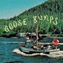 Boyscott - Goose bumps (CD)