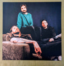 Dinosaur Pile-Up - I've Felt Better (LP)