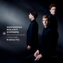 Brackman Trio - Discovering roslavets - i. silver night (CD)