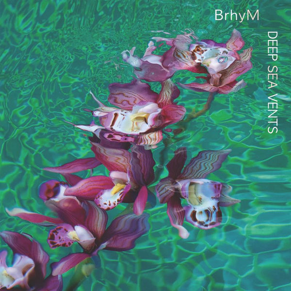 BrhyM - Deep sea vents (CD) - Discords.nl