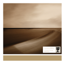 Brian Eno, Jon Hopkins & Leo Abrahams - Small Craft On A Milk Sea (LP)