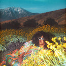 Brittany Howard - What now (LP) - Discords.nl