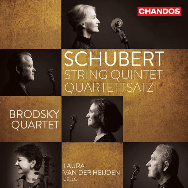 Brodsky Quartet / Laura Van Der Heijden - Schubert: String Quintet Quartettsatz (CD) - Discords.nl