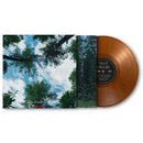 Bryce Dessner - Train dreams (LP)