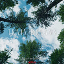 Bryce Dessner - Train dreams (LP)